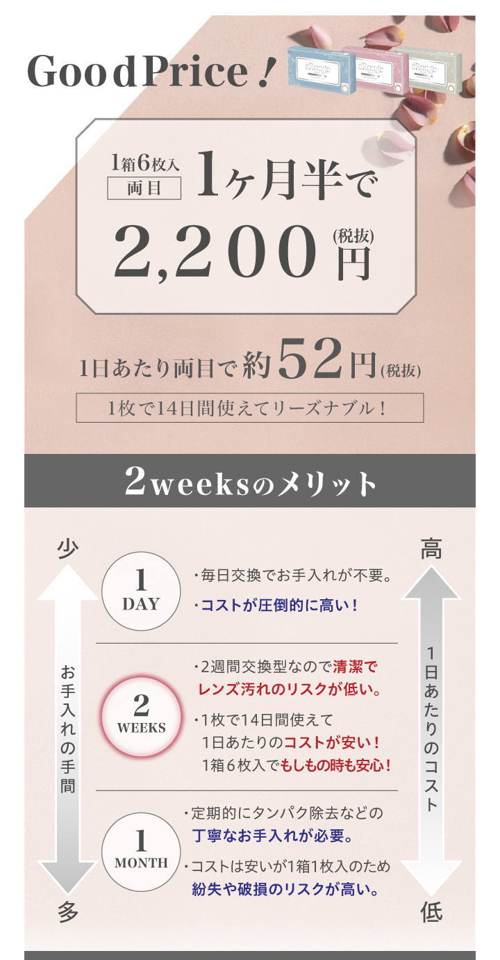 エルージュ2020ポイント1