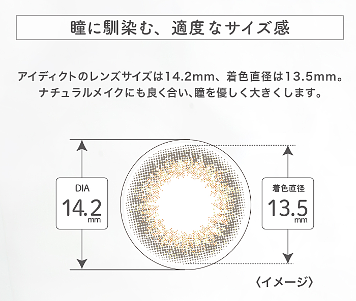 レンズ径と着色径