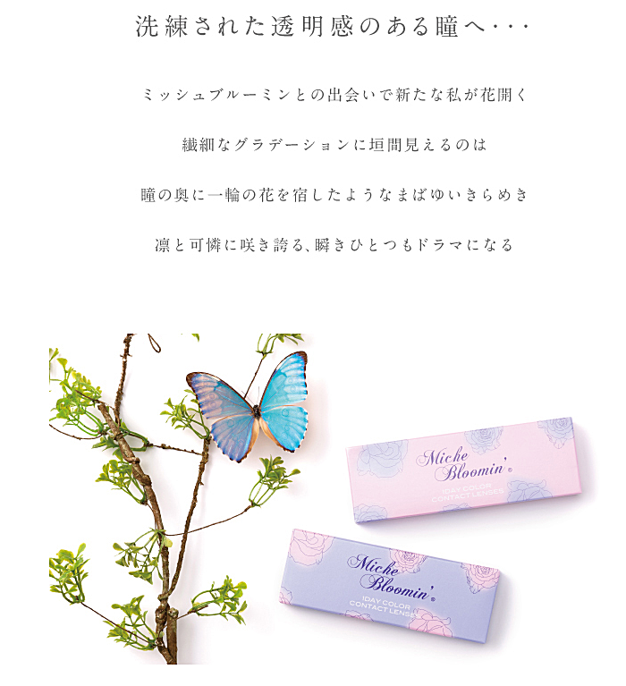 ミッシュブルーミンワンデー クォーターヴェールのパッケージ