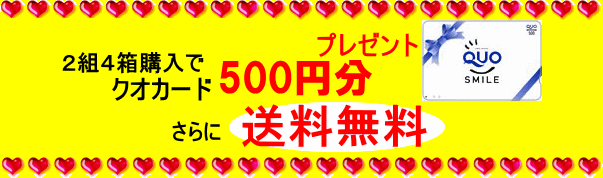 4箱購入でQuoカード500円分プレゼントさらに送料無料