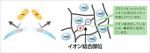 ワンデーピュアうるおいプラス乱視用の両性イオン素材