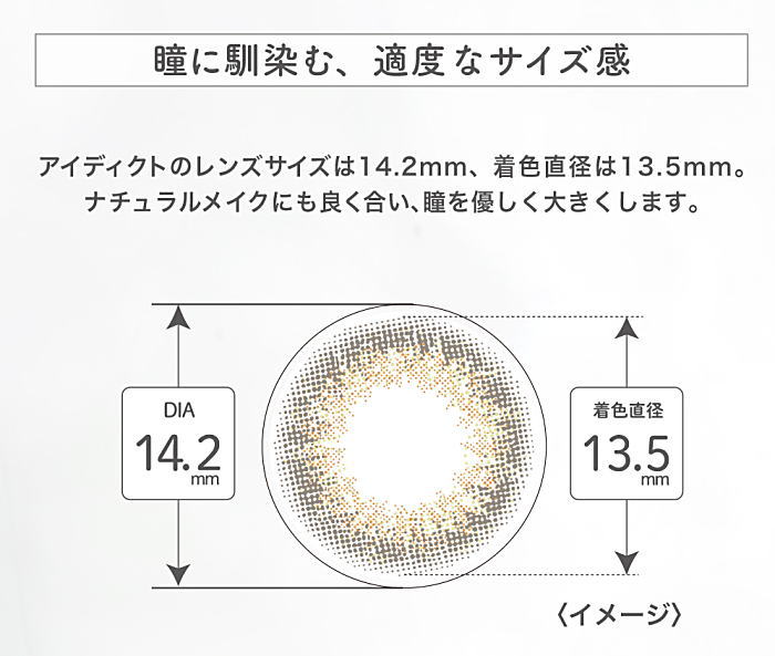 アイディクトハイドラスのサイズ